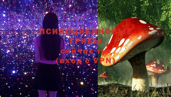 спайс Мегион