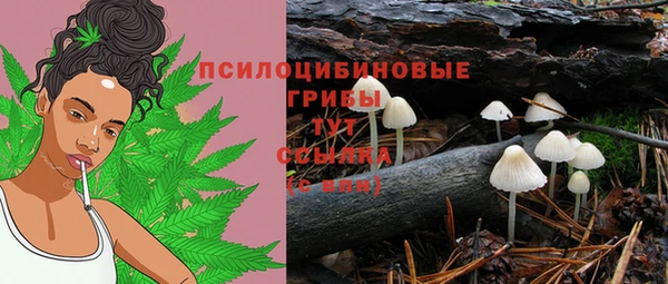 спайс Мегион