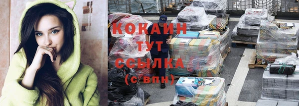 спайс Мегион