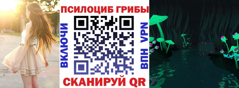 Купить где  Красноуральск  Псилоцибиновые грибы мицелий 